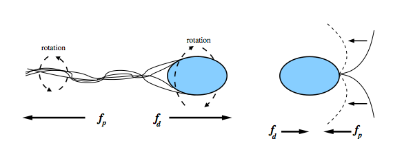 Swimming bacteria modeled as pusher and puller force dipoles