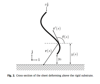 Graphene sheet deforming above a rigid substrate under load